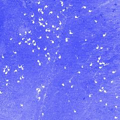 AudraWolowiec_commas2